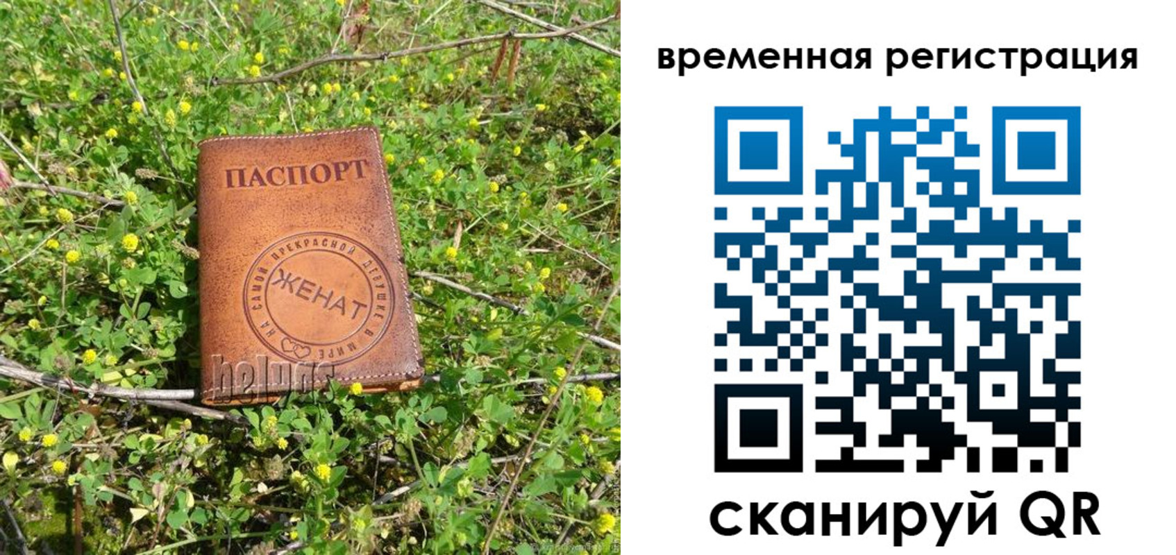 прописка регистрация в Жуковском